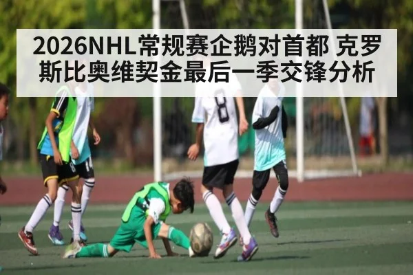 2026NHL常规赛企鹅对首都 克罗斯比奥维契金最后一季交锋分析